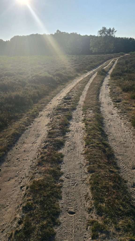 Zandpad over de Bussummerheide in de ochtendzon